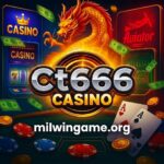 CT666 Game